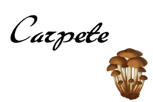 Carpete Font: A Naive Brush Typeface for Small Business Branding