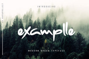Examplle Typeface for Editorial Design