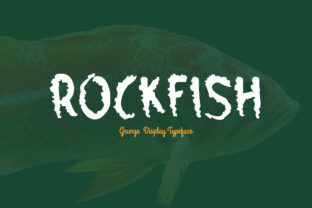 Rockfish: A Modern Display Font for Editorial Design