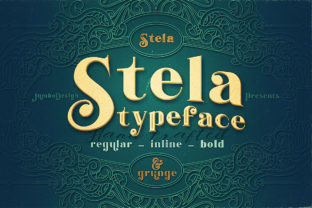 Stela Family: Vintage Grunge Display Fonts for Editors