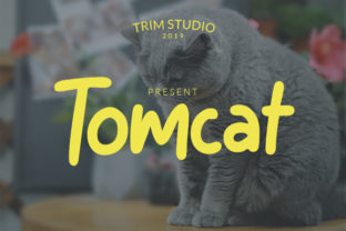 Tomcat: A Playful Display Font for Brand Growth