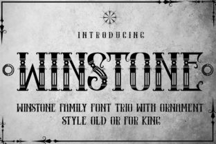 Winstone Typeface for Bold Campaign Design